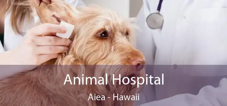 Animal Hospital Aiea - Hawaii