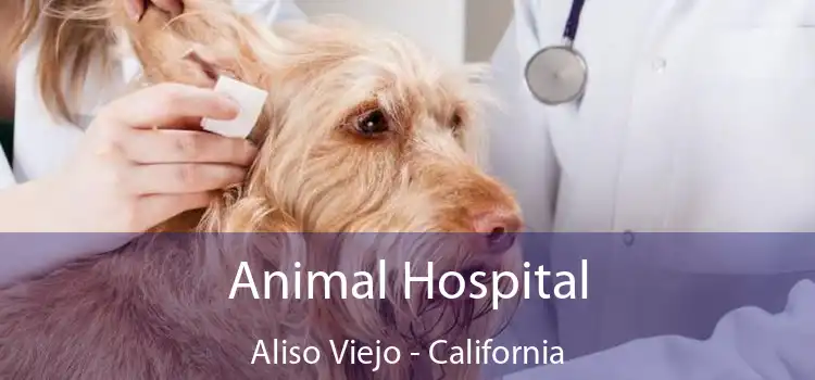 Animal Hospital Aliso Viejo - California