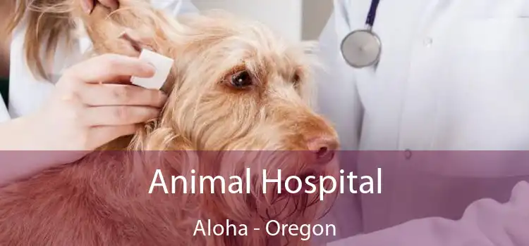Animal Hospital Aloha - Oregon