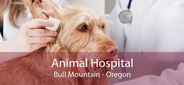 Animal Hospital Bull Mountain - Oregon