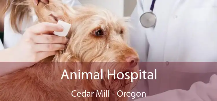 Animal Hospital Cedar Mill - Oregon