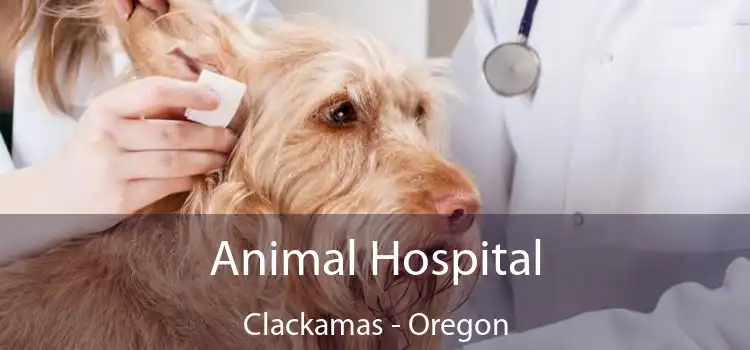 Animal Hospital Clackamas - Oregon