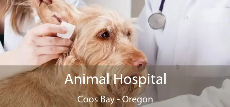 Animal Hospital Coos Bay - Oregon