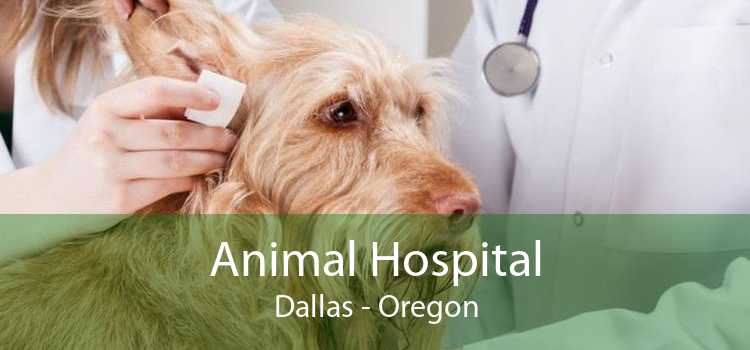 Animal Hospital Dallas - Oregon