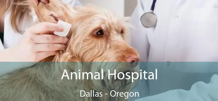 Animal Hospital Dallas - Oregon