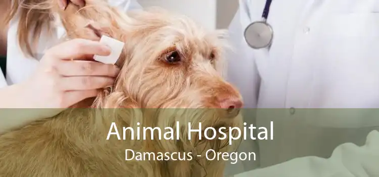 Animal Hospital Damascus - Oregon