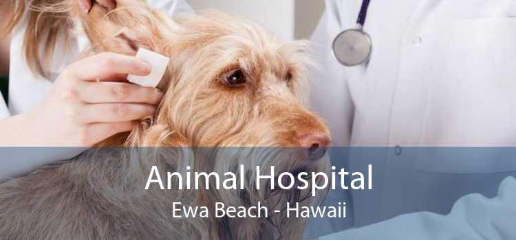 Animal Hospital Ewa Beach - Hawaii