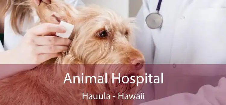 Animal Hospital Hauula - Hawaii