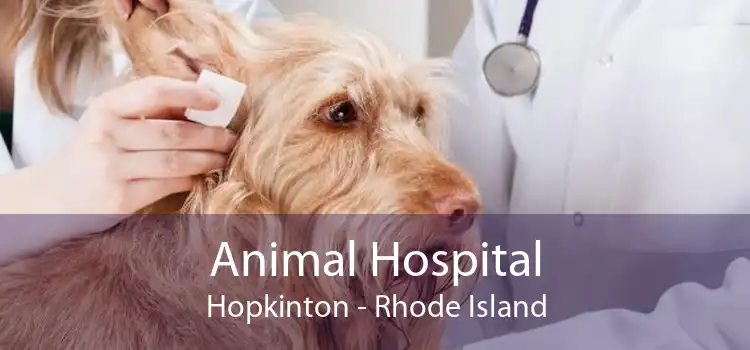 Animal Hospital Hopkinton - Rhode Island