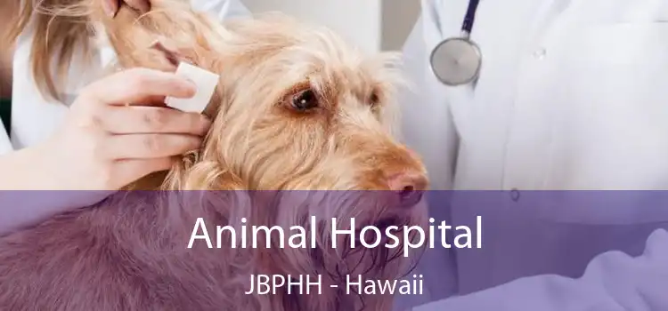 Animal Hospital JBPHH - Hawaii