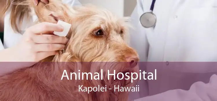 Animal Hospital Kapolei - Hawaii