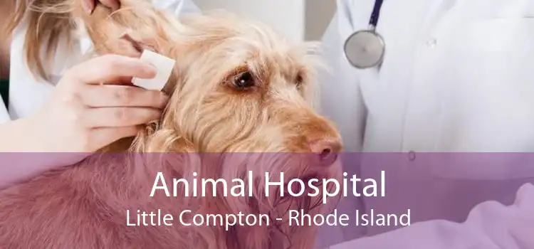 Animal Hospital Little Compton - Rhode Island