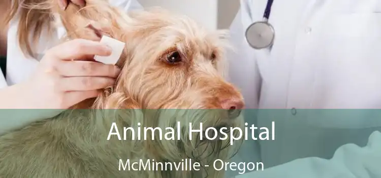 Animal Hospital McMinnville - Oregon