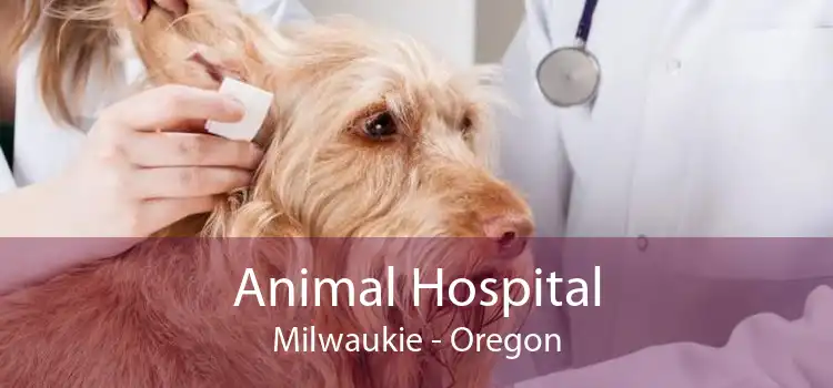 Animal Hospital Milwaukie - Oregon