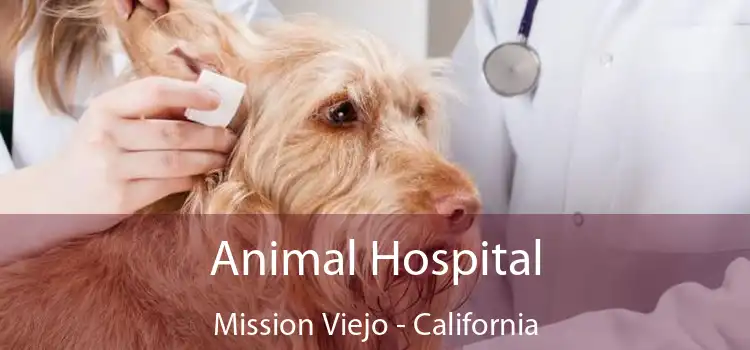 Animal Hospital Mission Viejo - California