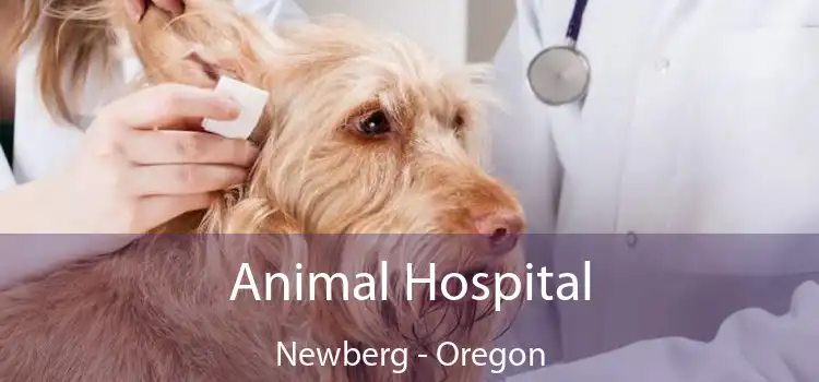 Animal Hospital Newberg - Oregon