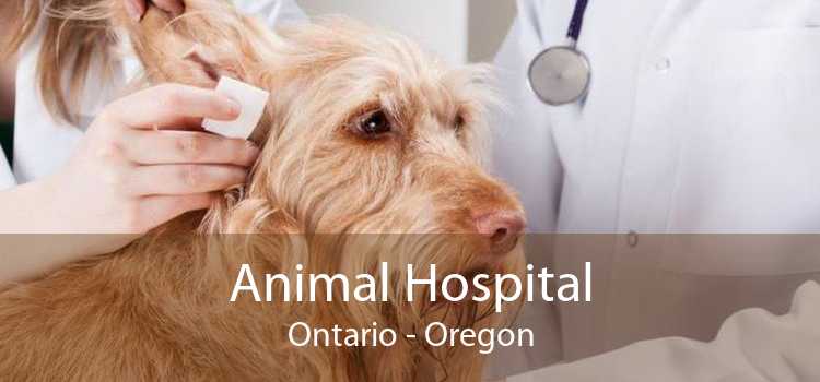 Animal Hospital Ontario - Oregon