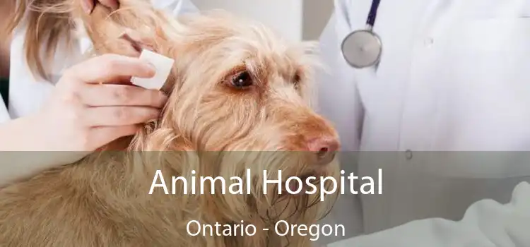 Animal Hospital Ontario - Oregon
