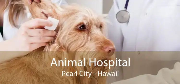 Animal Hospital Pearl City - Hawaii