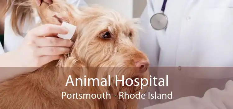 Animal Hospital Portsmouth - Rhode Island