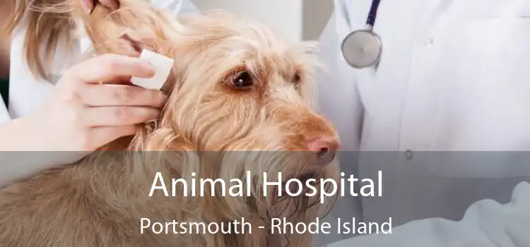 Animal Hospital Portsmouth - Rhode Island