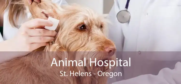 Animal Hospital St. Helens - Oregon