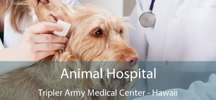Animal Hospital Tripler Army Medical Center - Hawaii