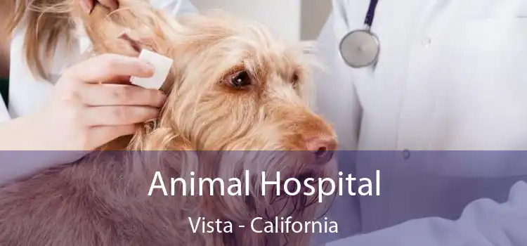 Animal Hospital Vista - California