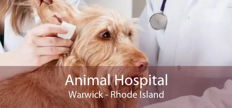 Animal Hospital Warwick - Rhode Island