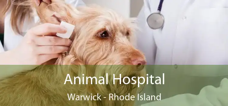 Animal Hospital Warwick - Rhode Island