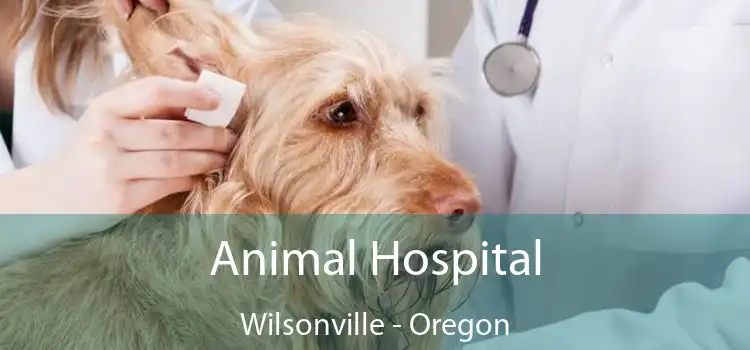 Animal Hospital Wilsonville - Oregon