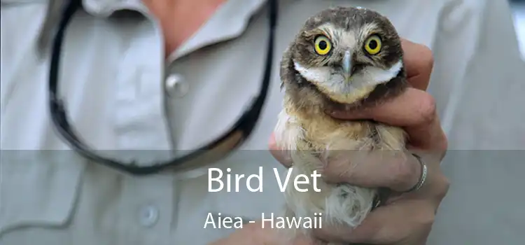 Bird Vet Aiea - Hawaii