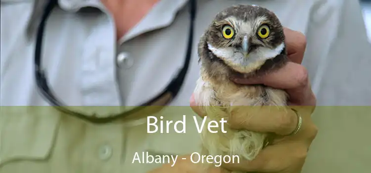 Bird Vet Albany - Oregon