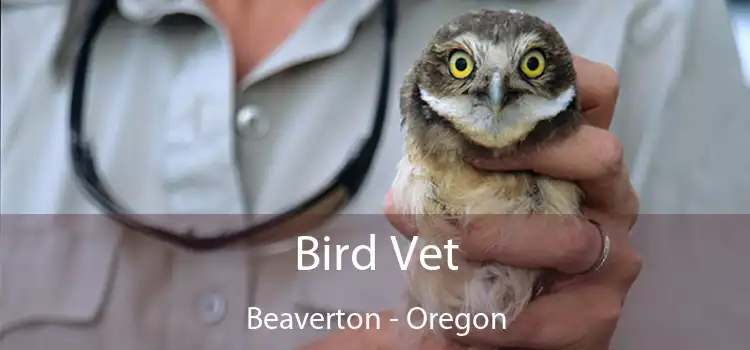 Bird Vet Beaverton - Oregon