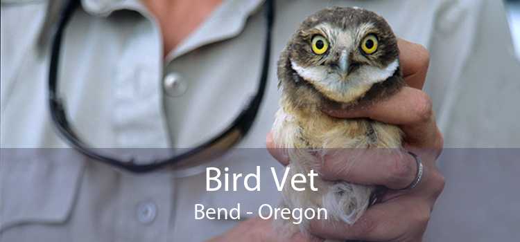 Bird Vet Bend - Oregon