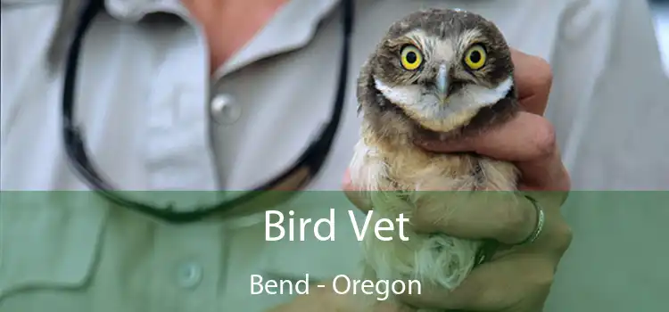 Bird Vet Bend - Oregon