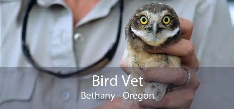 Bird Vet Bethany - Oregon