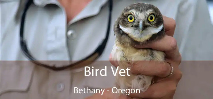 Bird Vet Bethany - Oregon