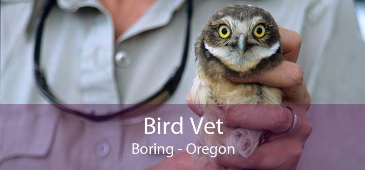 Bird Vet Boring - Oregon