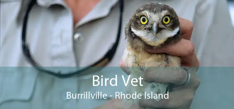 Bird Vet Burrillville - Rhode Island