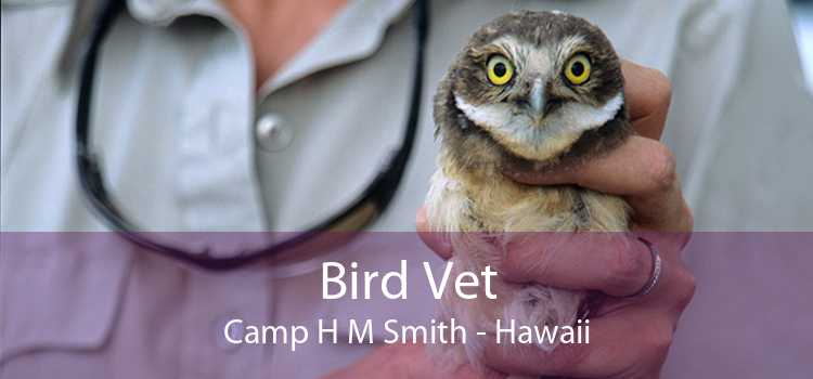 Bird Vet Camp H M Smith - Hawaii