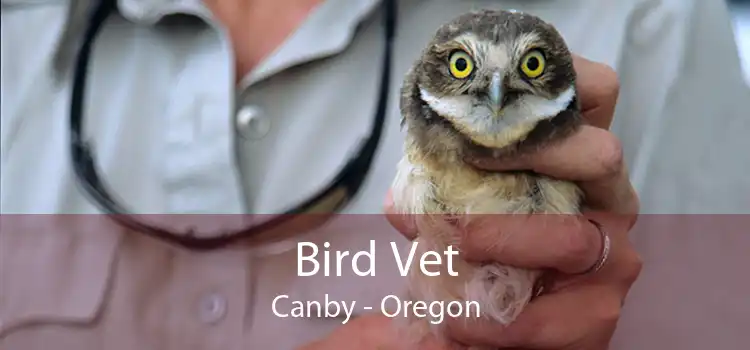 Bird Vet Canby - Oregon