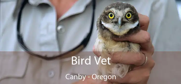 Bird Vet Canby - Oregon