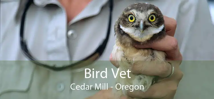 Bird Vet Cedar Mill - Oregon