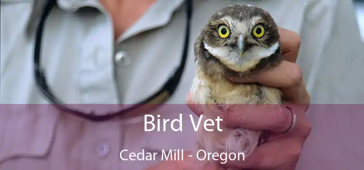 Bird Vet Cedar Mill - Oregon