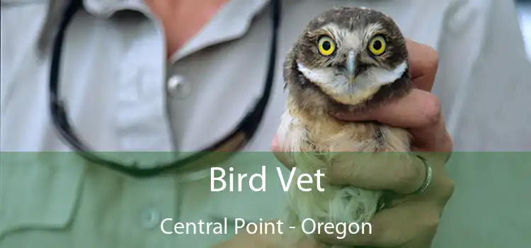 Bird Vet Central Point - Oregon