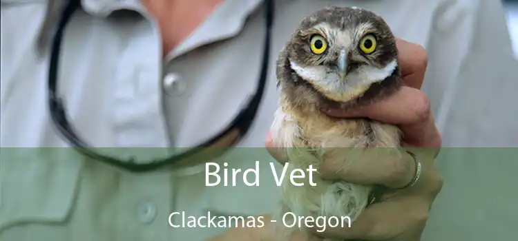 Bird Vet Clackamas - Oregon