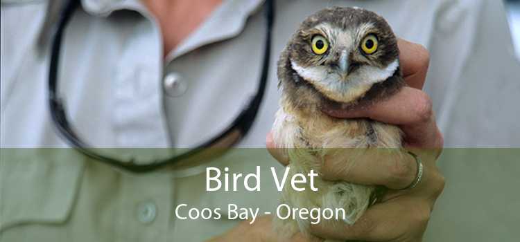 Bird Vet Coos Bay - Oregon