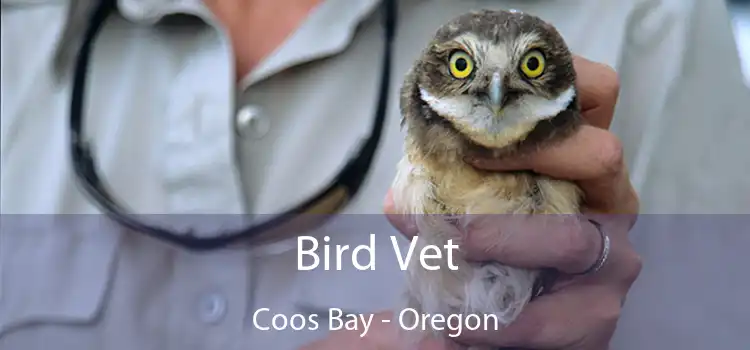 Bird Vet Coos Bay - Oregon