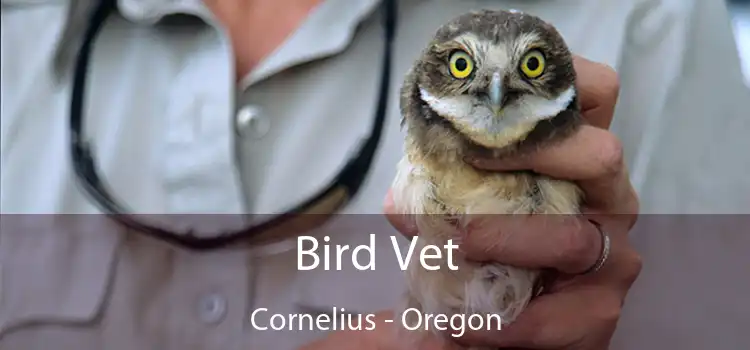Bird Vet Cornelius - Oregon
